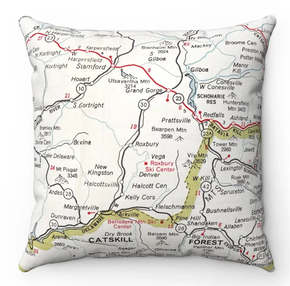 Roxbury Area Map Pillow