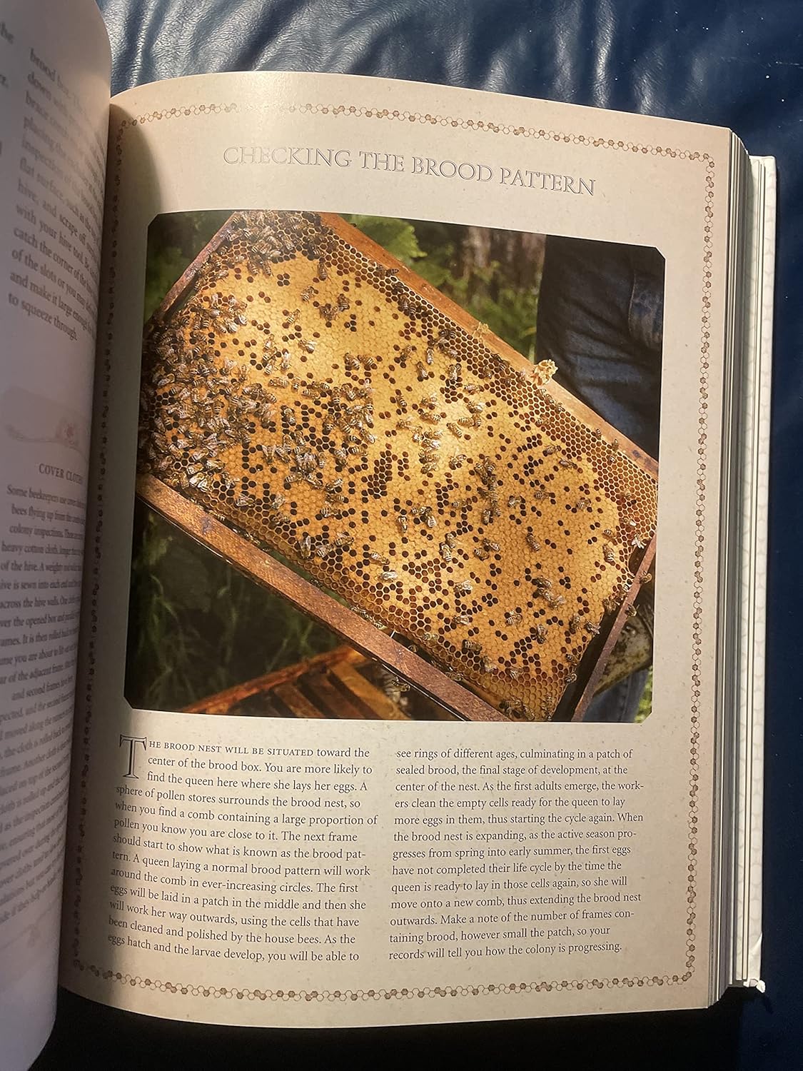 The Beekeeper's Bible Book