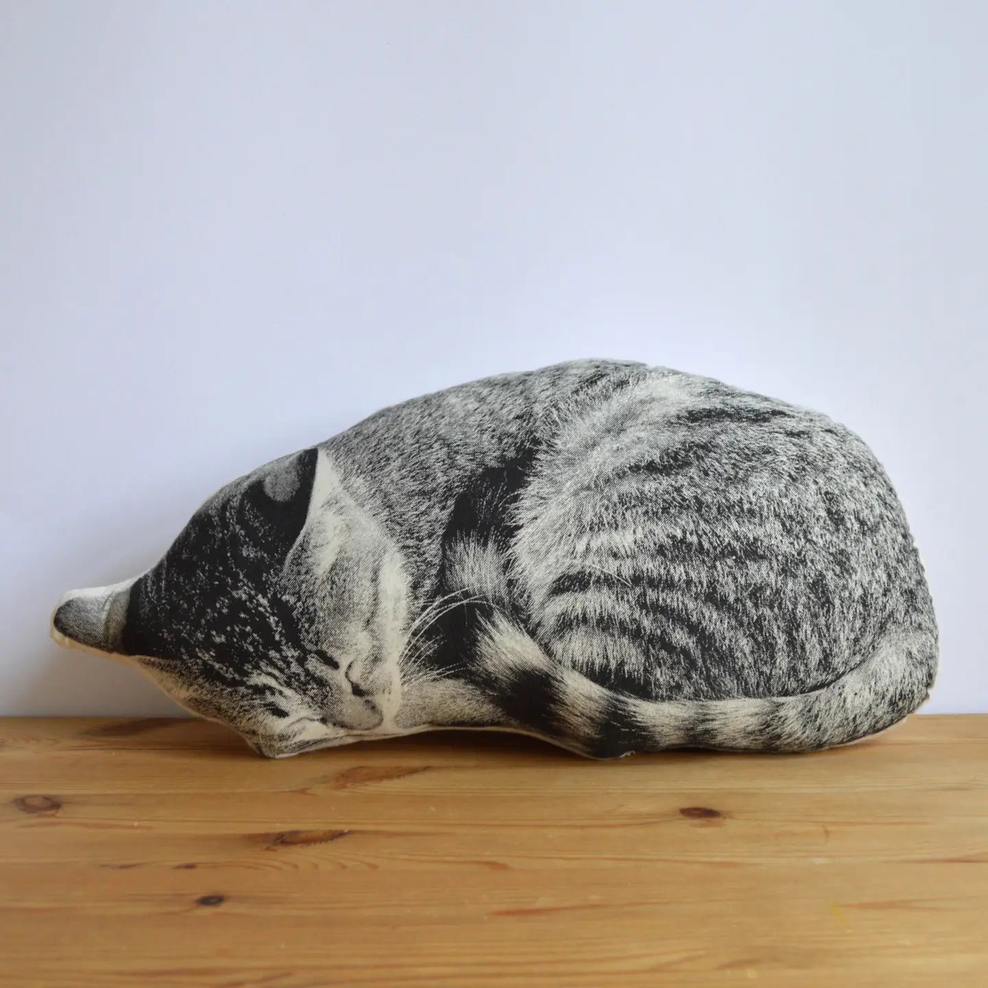 Cat Pillow