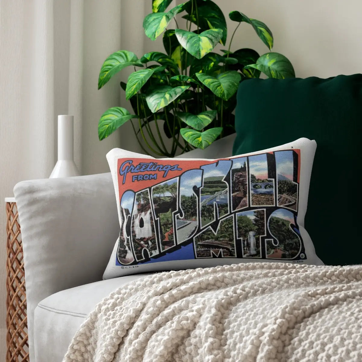 Catskills Postcard Pillow Cover
