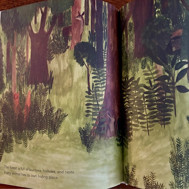 A Walk in the Forest