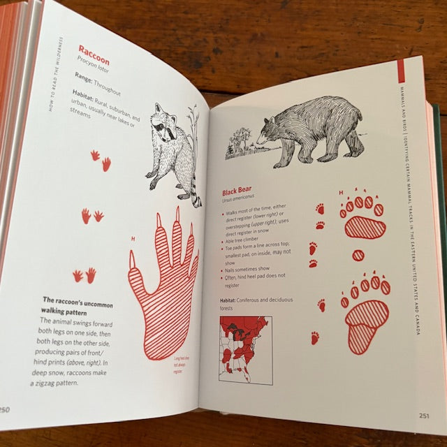 How to Read the Wilderness Book