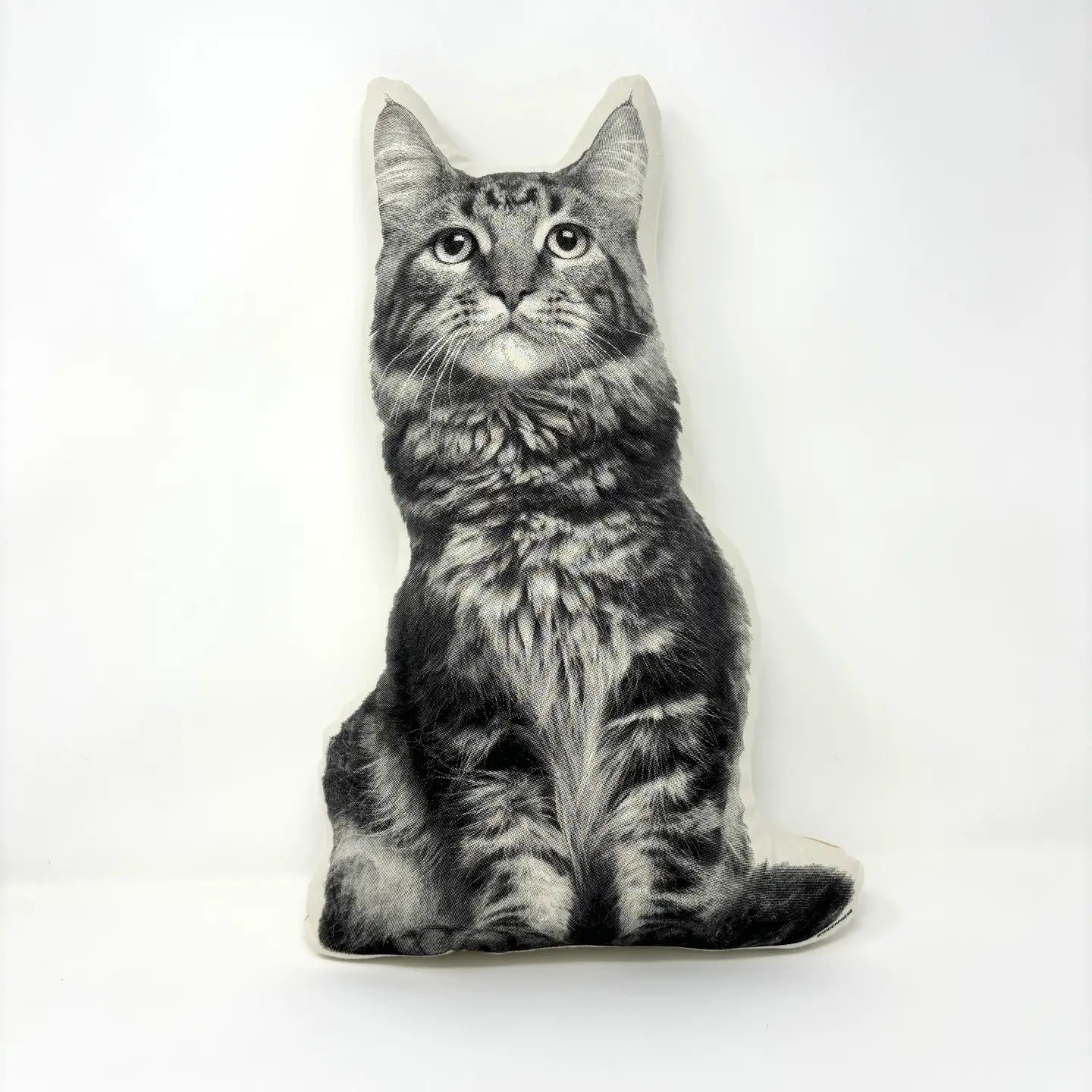 Cat Pillow