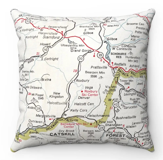 Roxbury Area Map Pillow