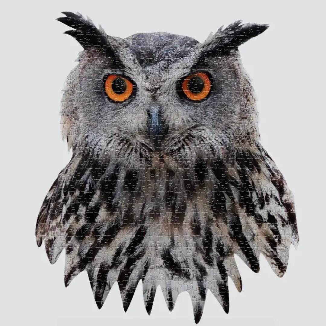 I Am Owl Puzzle