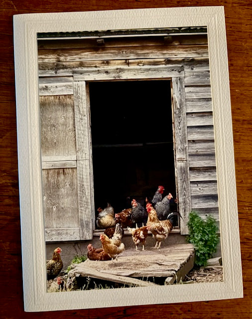 Catskill Cards: Animals