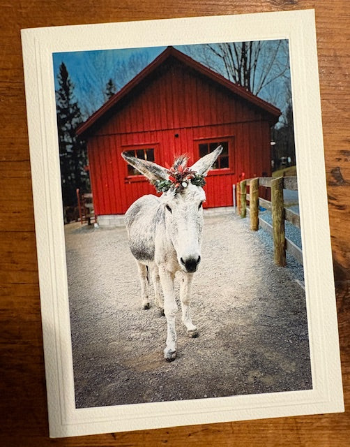 Catskill Cards: Animals