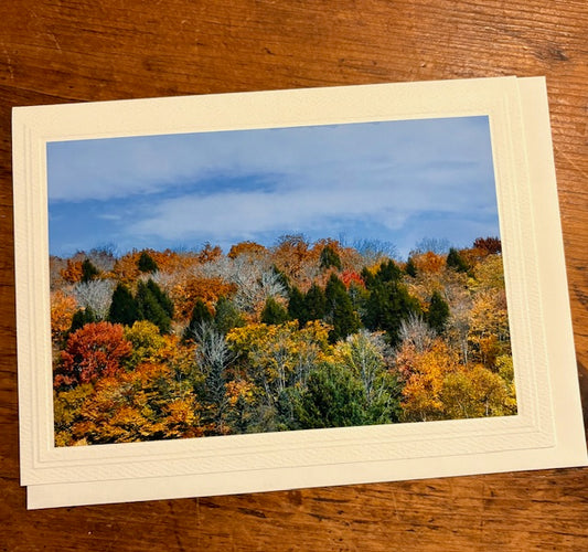Catskill Cards: Fall