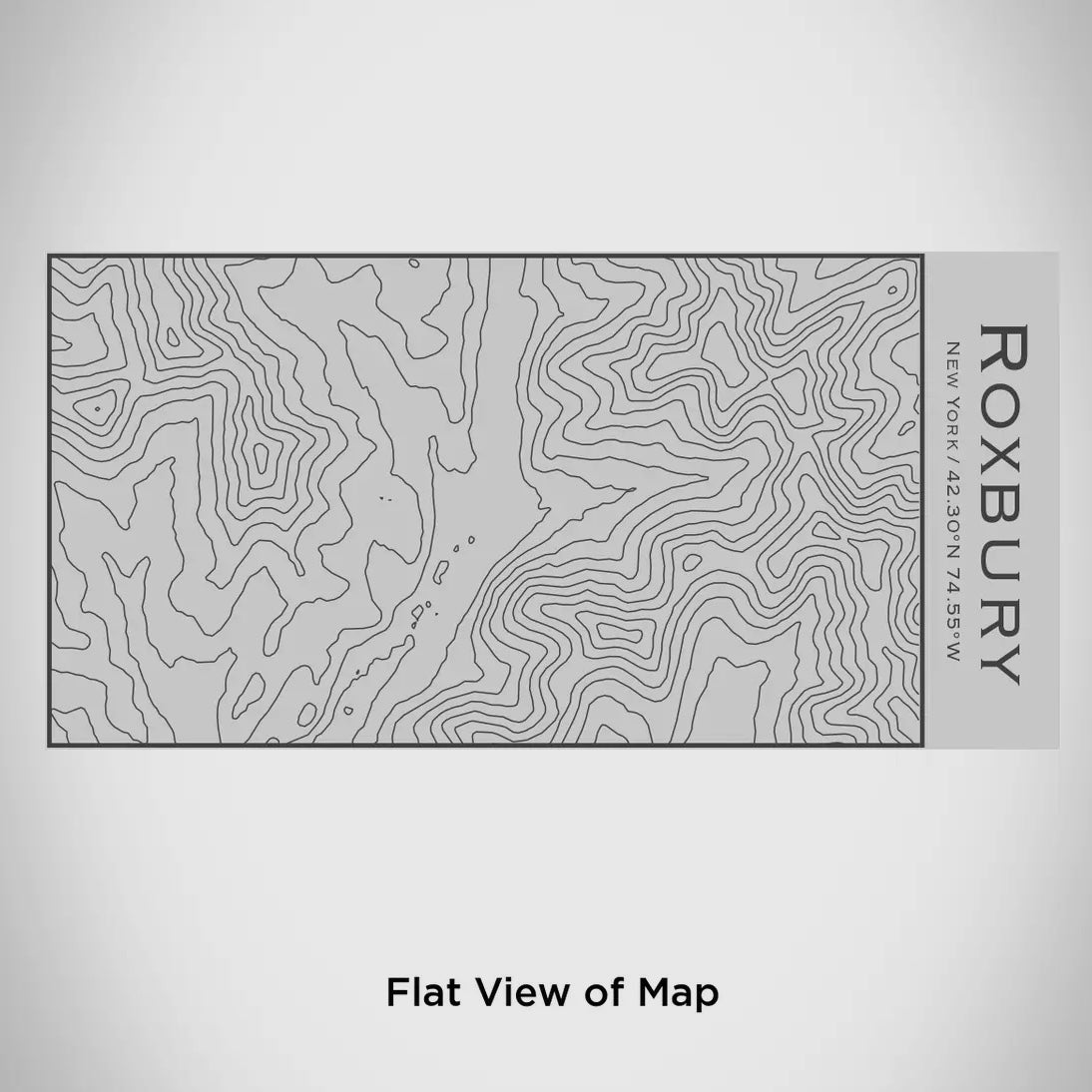 Roxbury Map Insulated Bottle