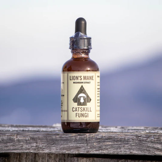 Lion's Mane Mushroom Tincture