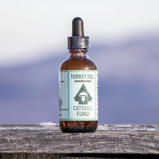 Turkey Tail Mushroom Tincture