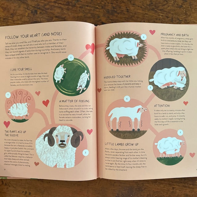 Sheepology: The Ultimate Encyclopedia