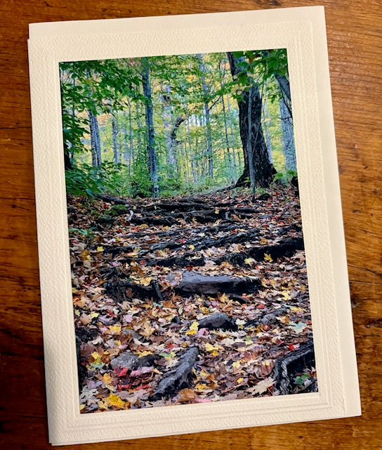 Catskill Cards: Fall
