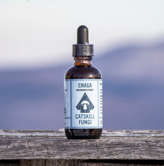 Chaga Mushroom Tincture